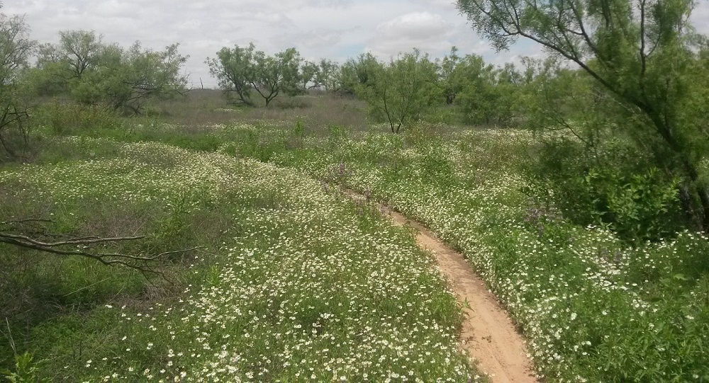 mae simmons trail