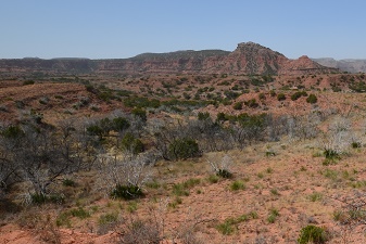 caprock canyon