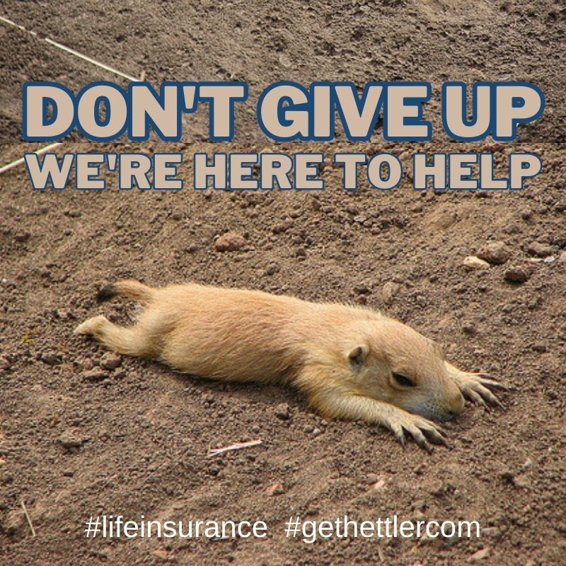 Prairie Dog | Life Insurance in Texas | Hettler Insurance Agency, Lubbock Insurance, Texas